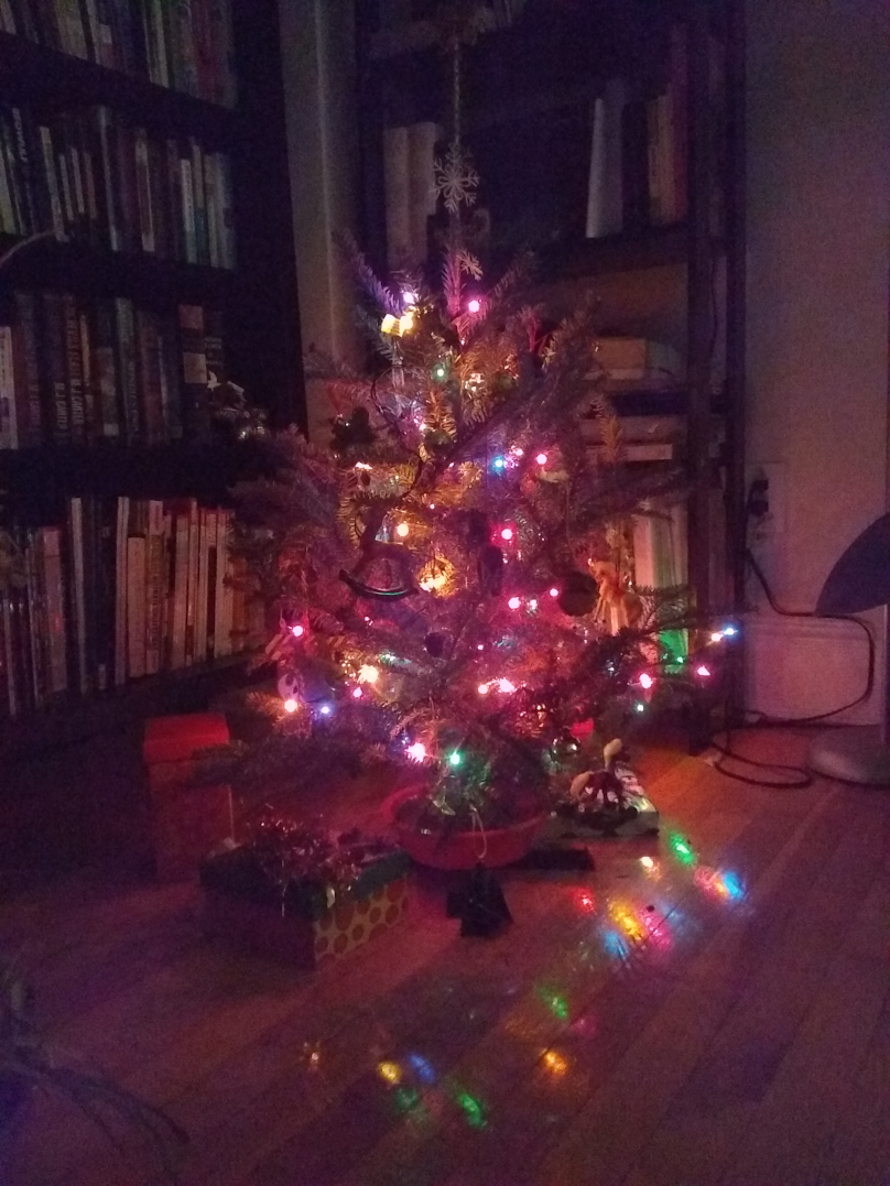 XmasTreeAtNight A picture of a small Christmas tree at night.