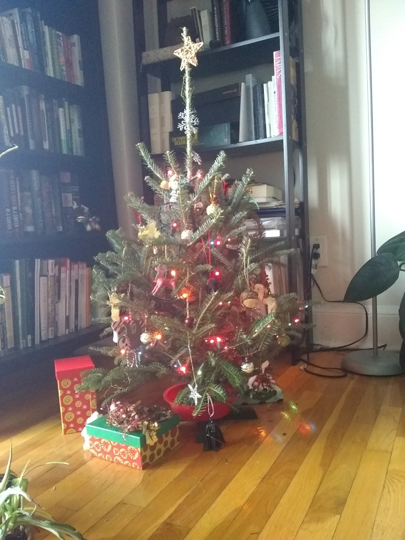 XmasTreeInDay A picture of a small Christmas tree.