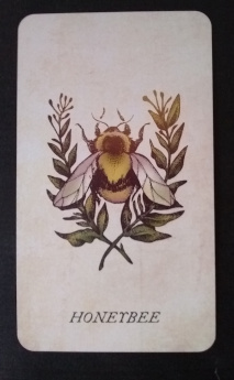 Honeybee